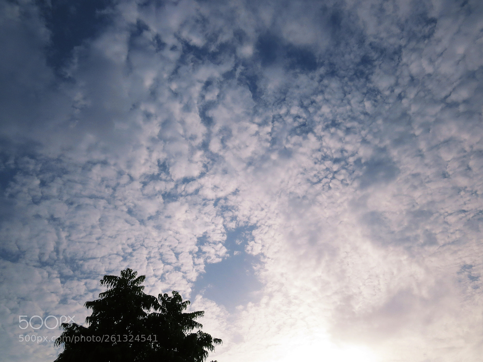 Canon PowerShot SX50 HS sample photo. Stormy sky. photography