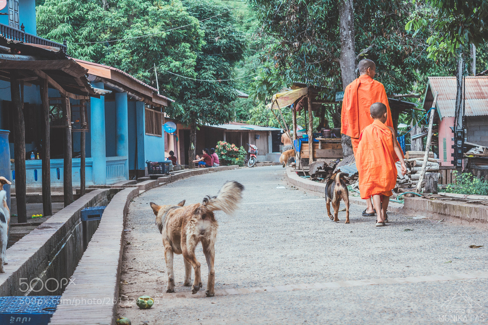 Nikon D5200 sample photo. Laos photography
