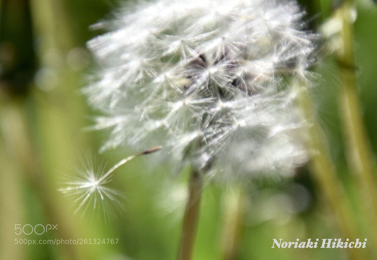 Nikon D5300 sample photo. Departure photography