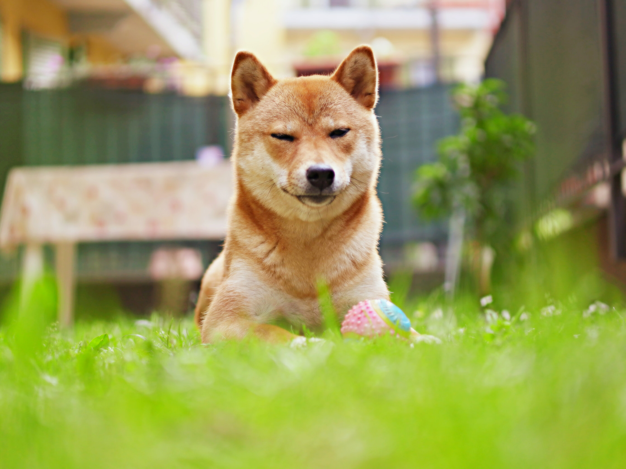 YI TECHNOLOGY M1 sample photo. Yuki photography