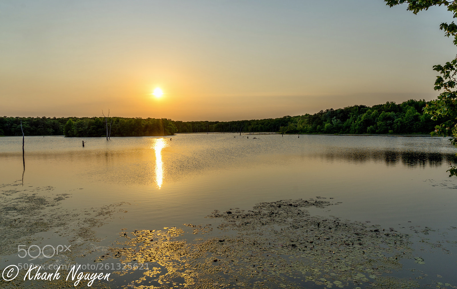 Sony a7 II sample photo. Peaceful  photography