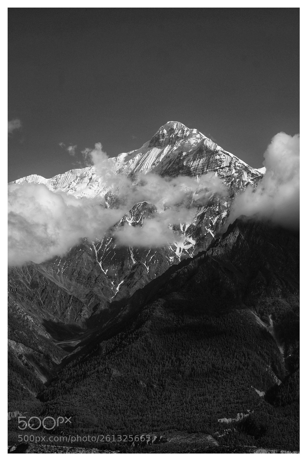 Fujifilm X-T1 sample photo. Nilgiri monochrome photography
