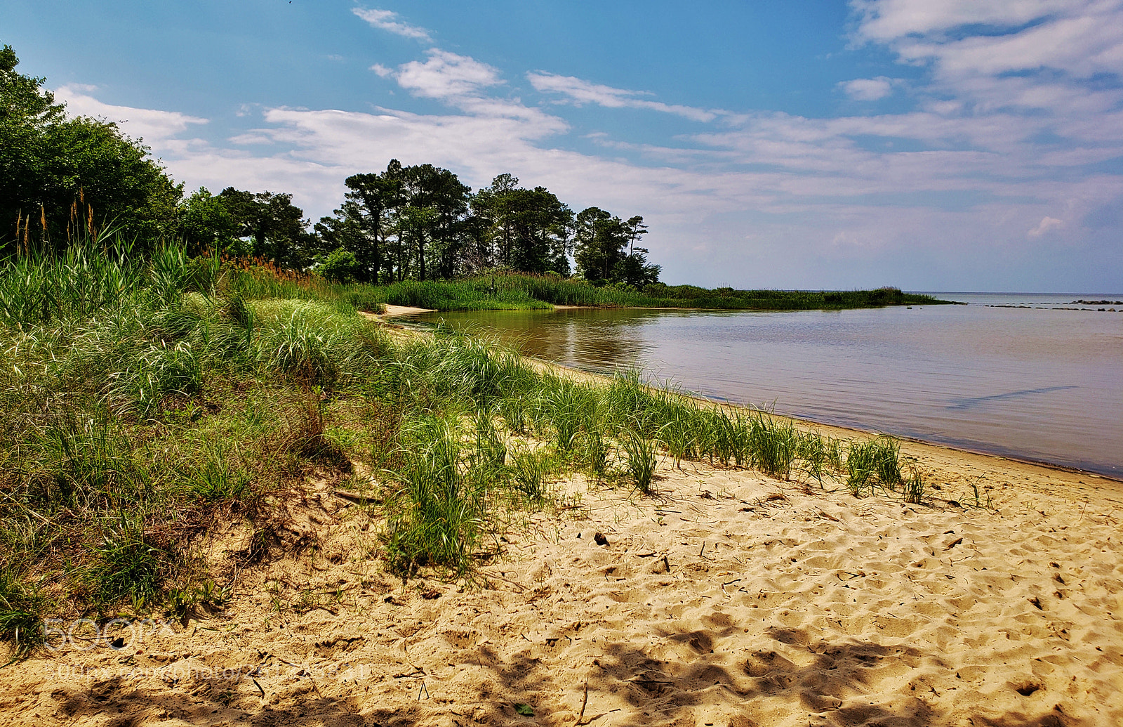 Samsung Galaxy S9+ sample photo. Ferry point beach 2018 photography