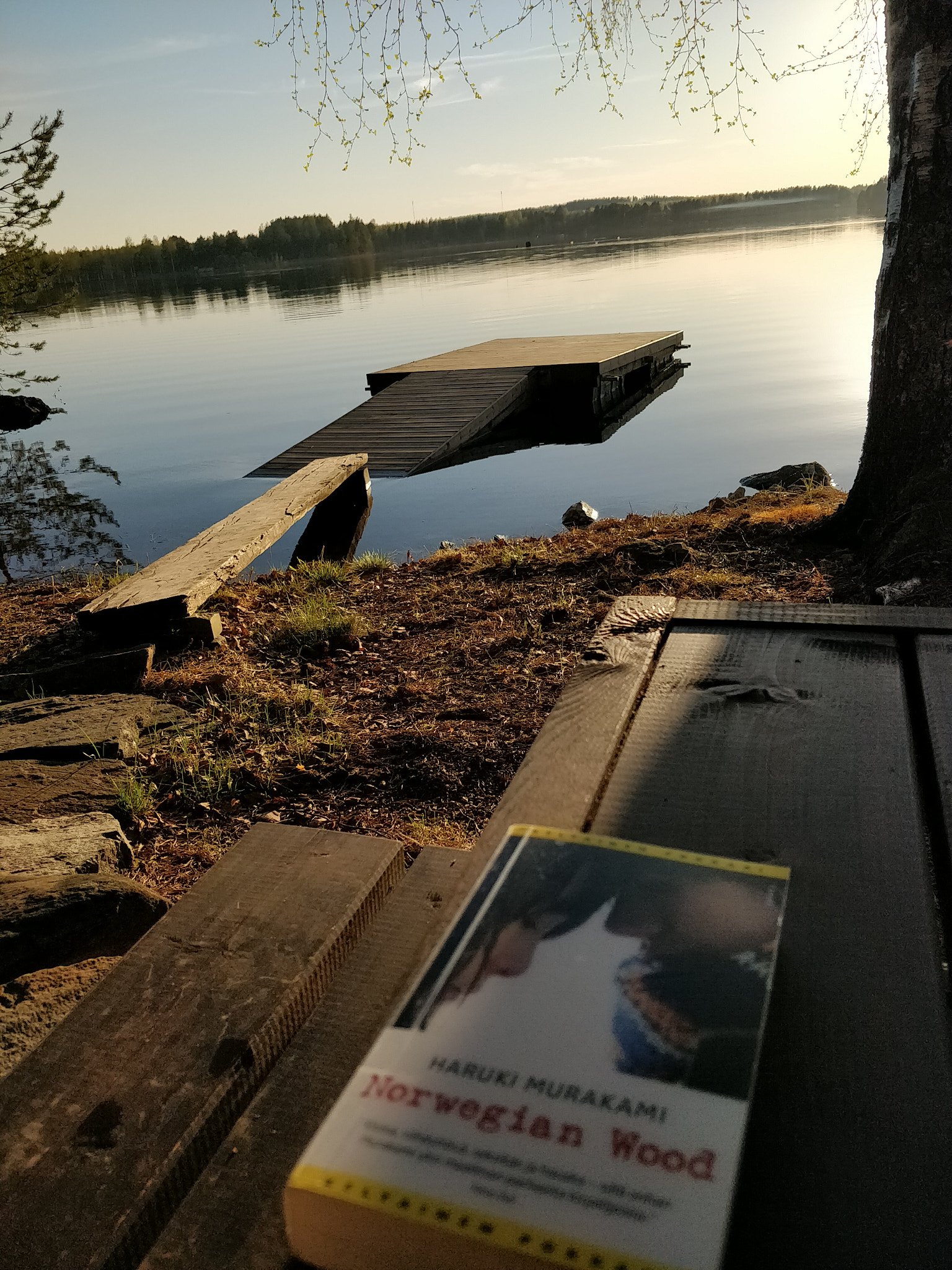 OnePlus 5T sample photo