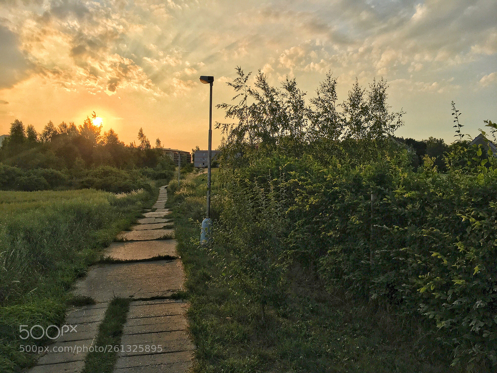 Apple iPhone 6s Plus sample photo. Sunset photography
