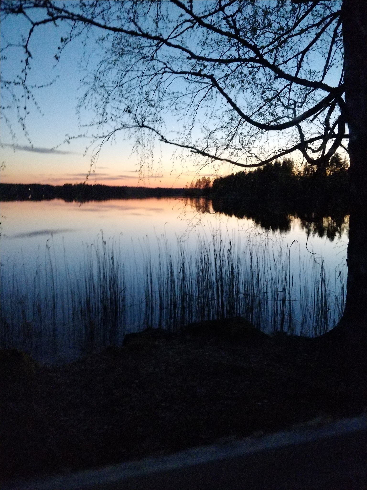 OnePlus 5T sample photo