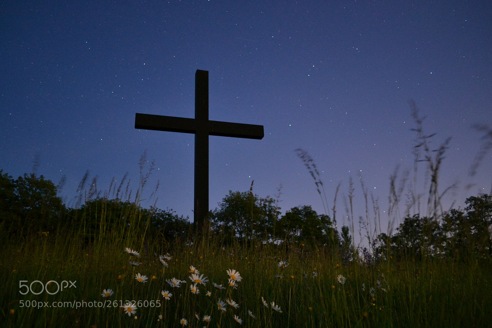 Nikon D3100 sample photo. Cross photography
