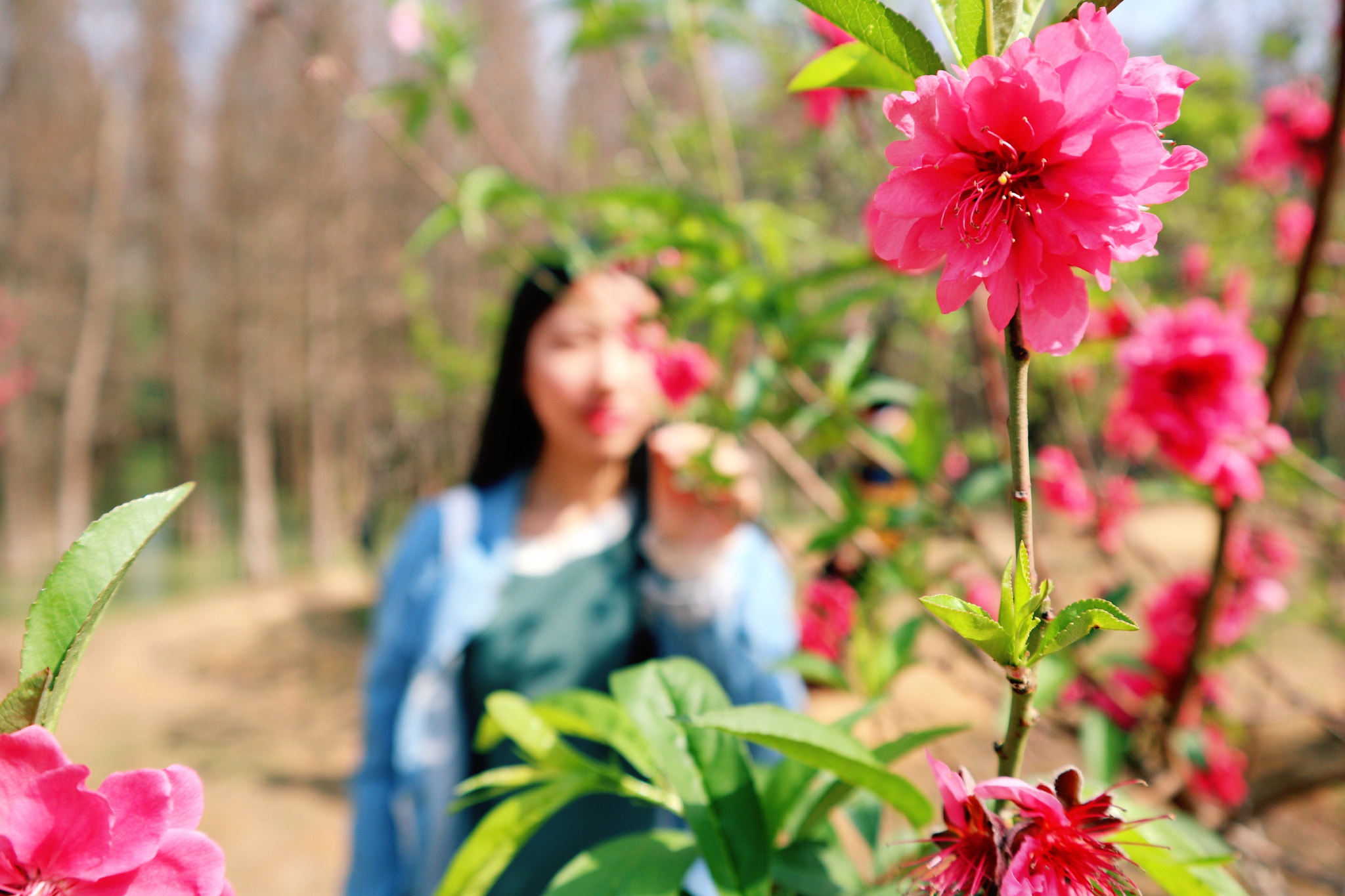 Canon EOS M100 sample photo. 人比花俏 photography