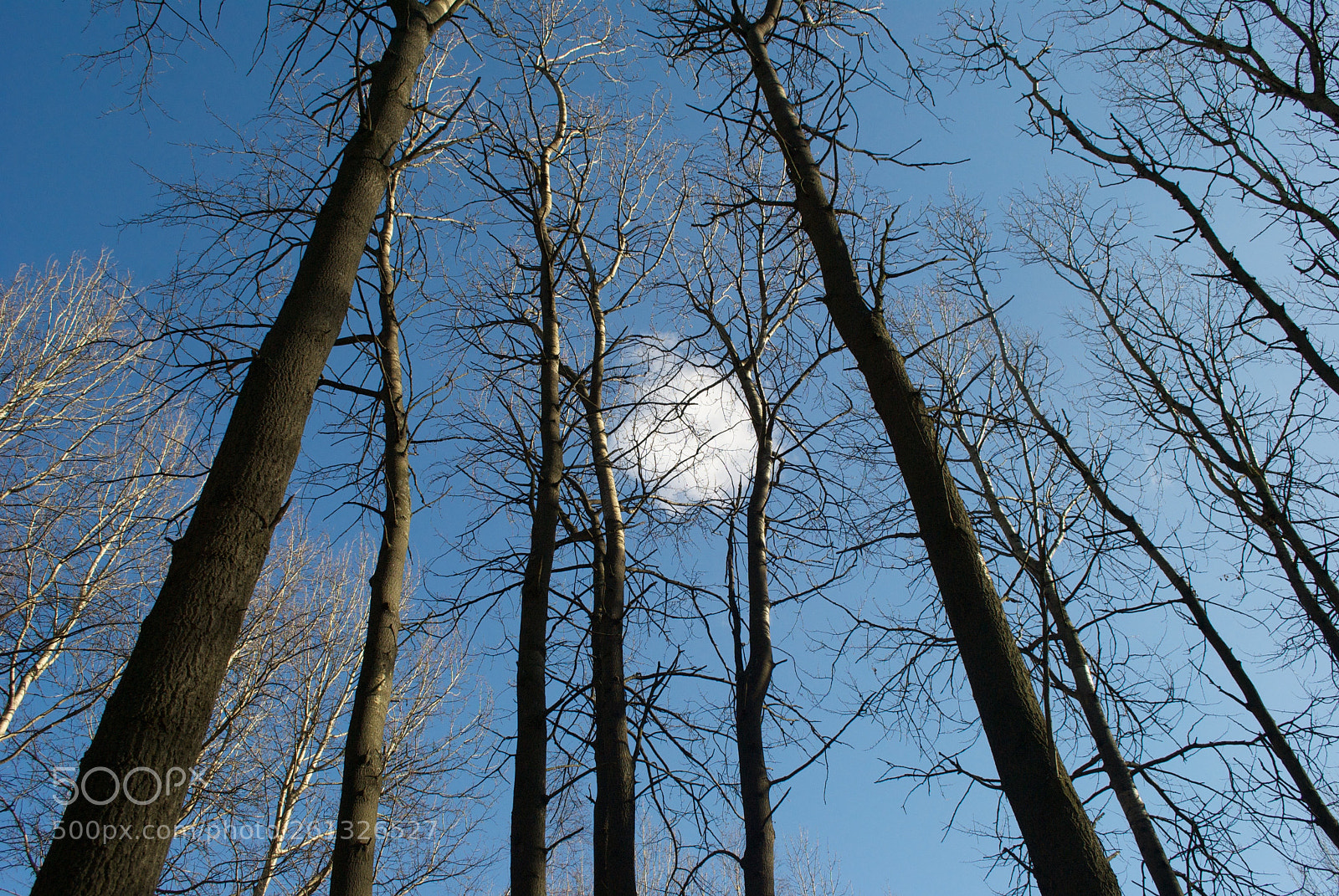 Nikon D3000 sample photo. Playing ball photography