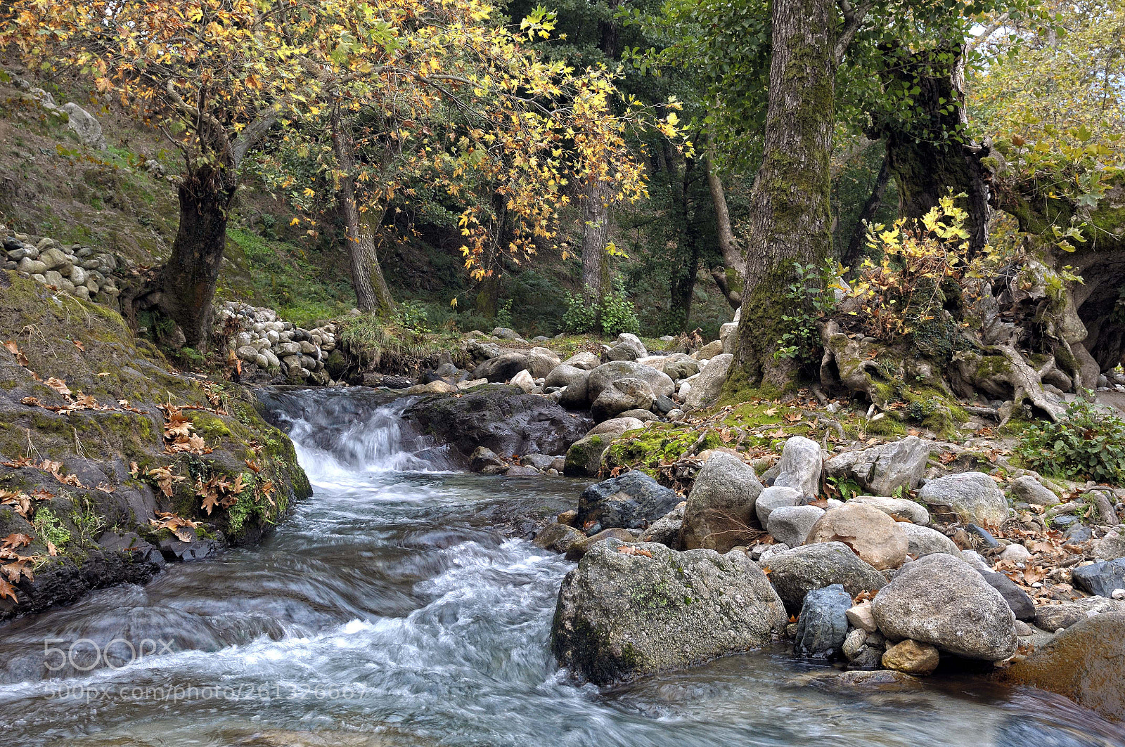 Nikon D300S sample photo. *** photography