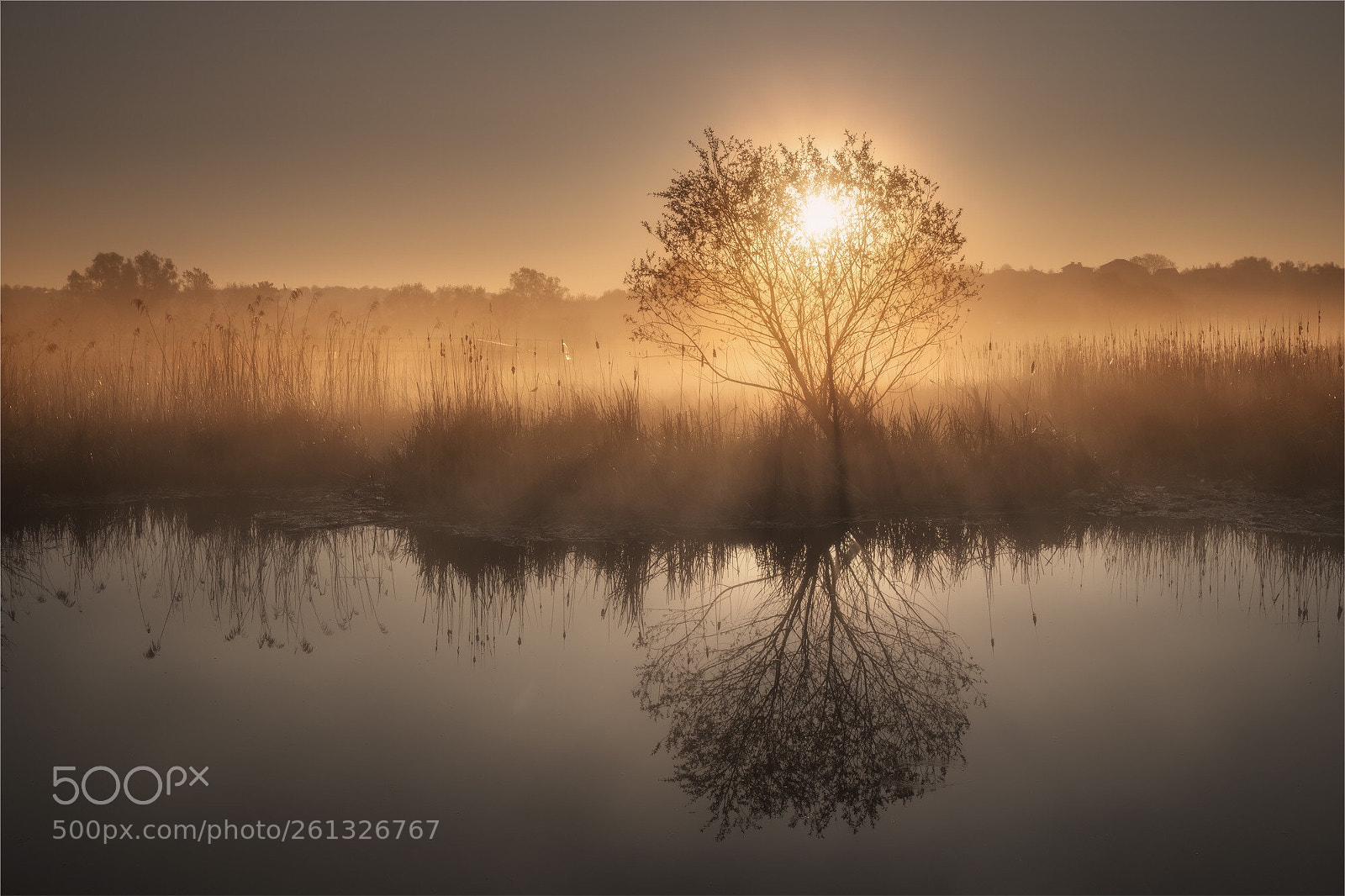 Canon EOS 5D Mark IV sample photo. Following the dawn photography