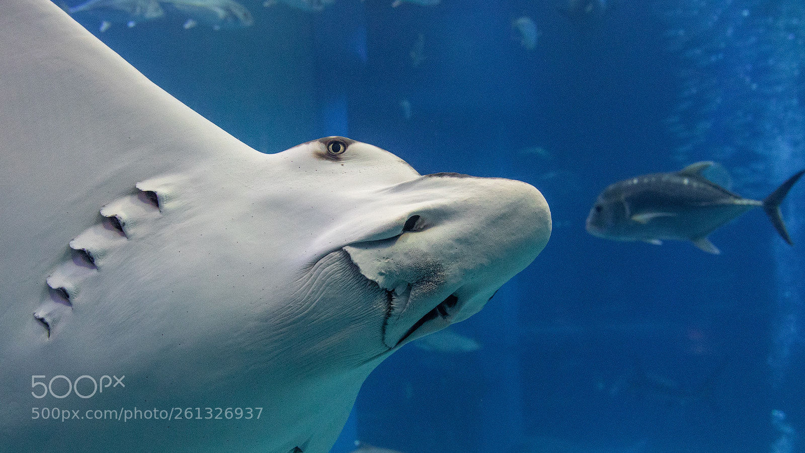 Canon EOS 7D Mark II sample photo. Untitled photography