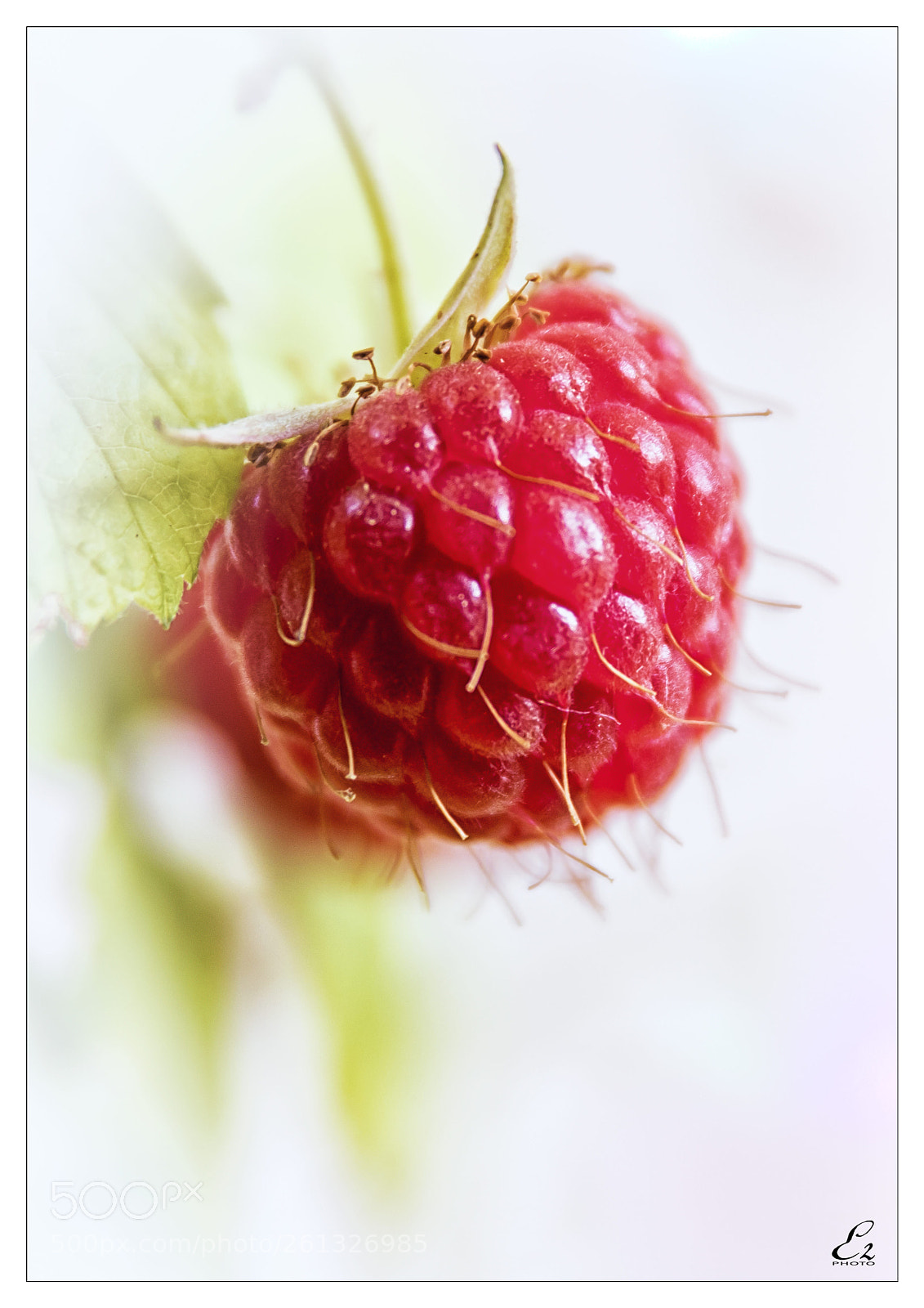 Canon EOS 80D sample photo. Raspberry photography