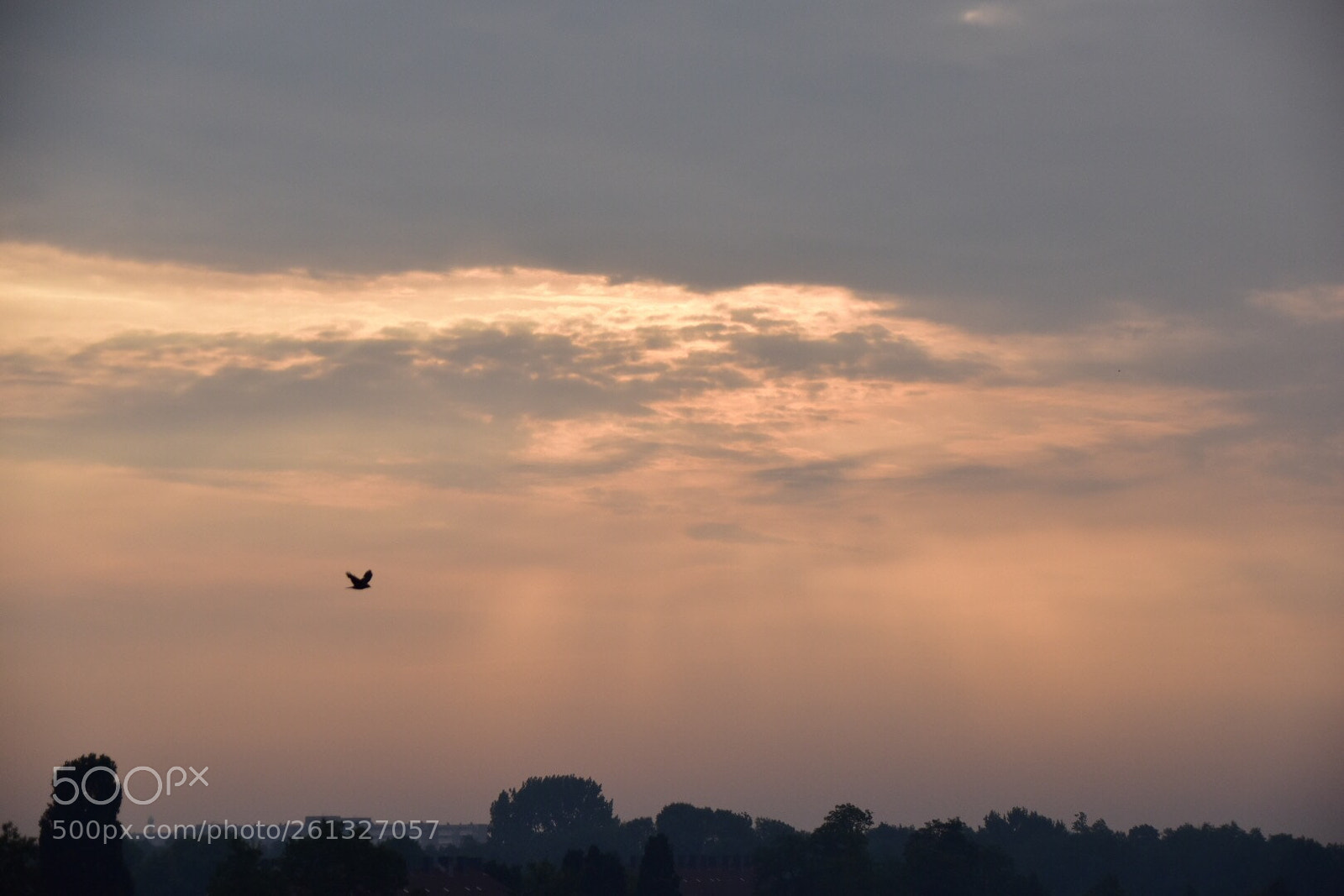 Nikon D5500 sample photo. Untitled photography