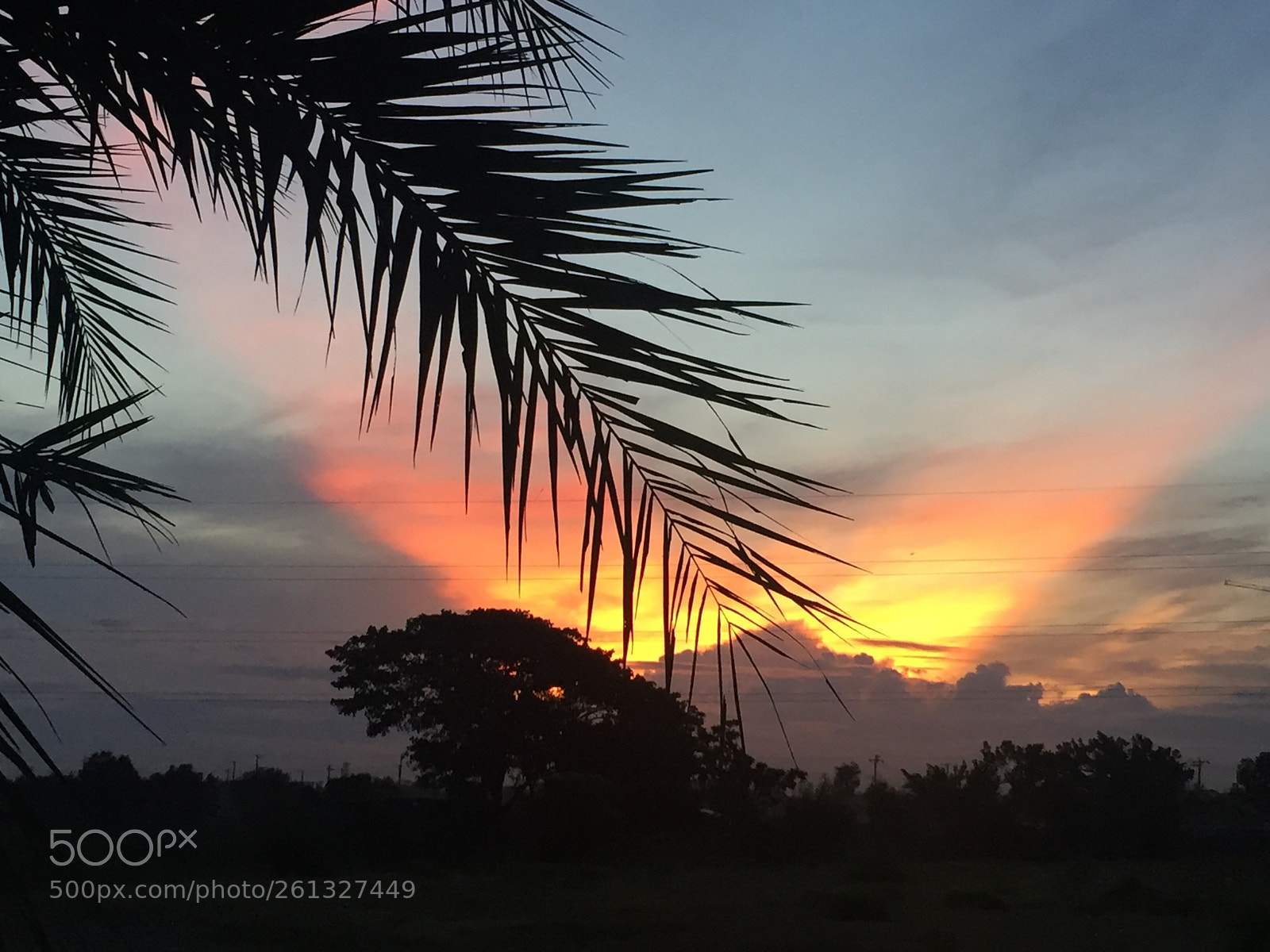Apple iPhone 6 sample photo. The dawn photography
