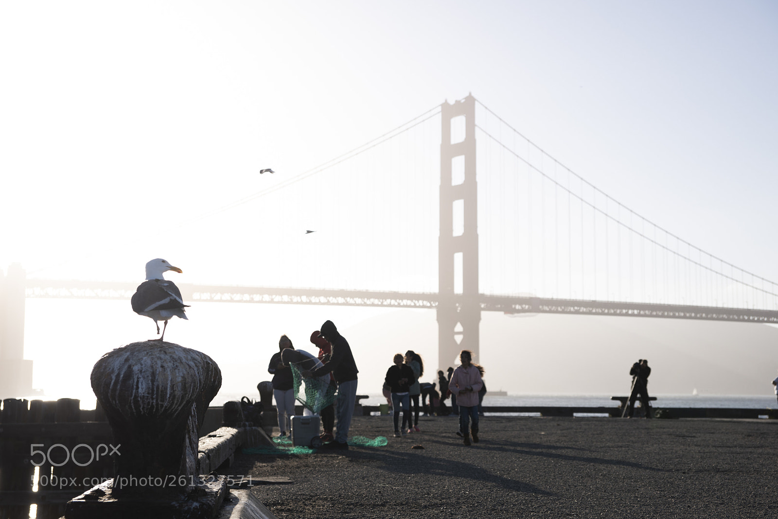 Nikon D610 sample photo. Golden gate photography