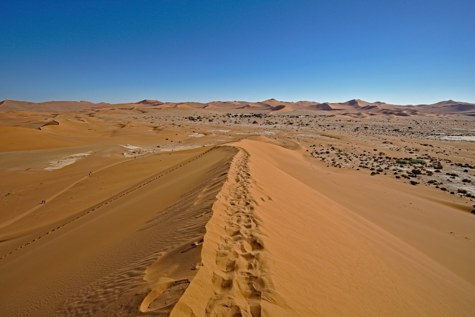 Canon EF 16-35mm F4L IS USM sample photo. One way (dune panorama, namibia) photography