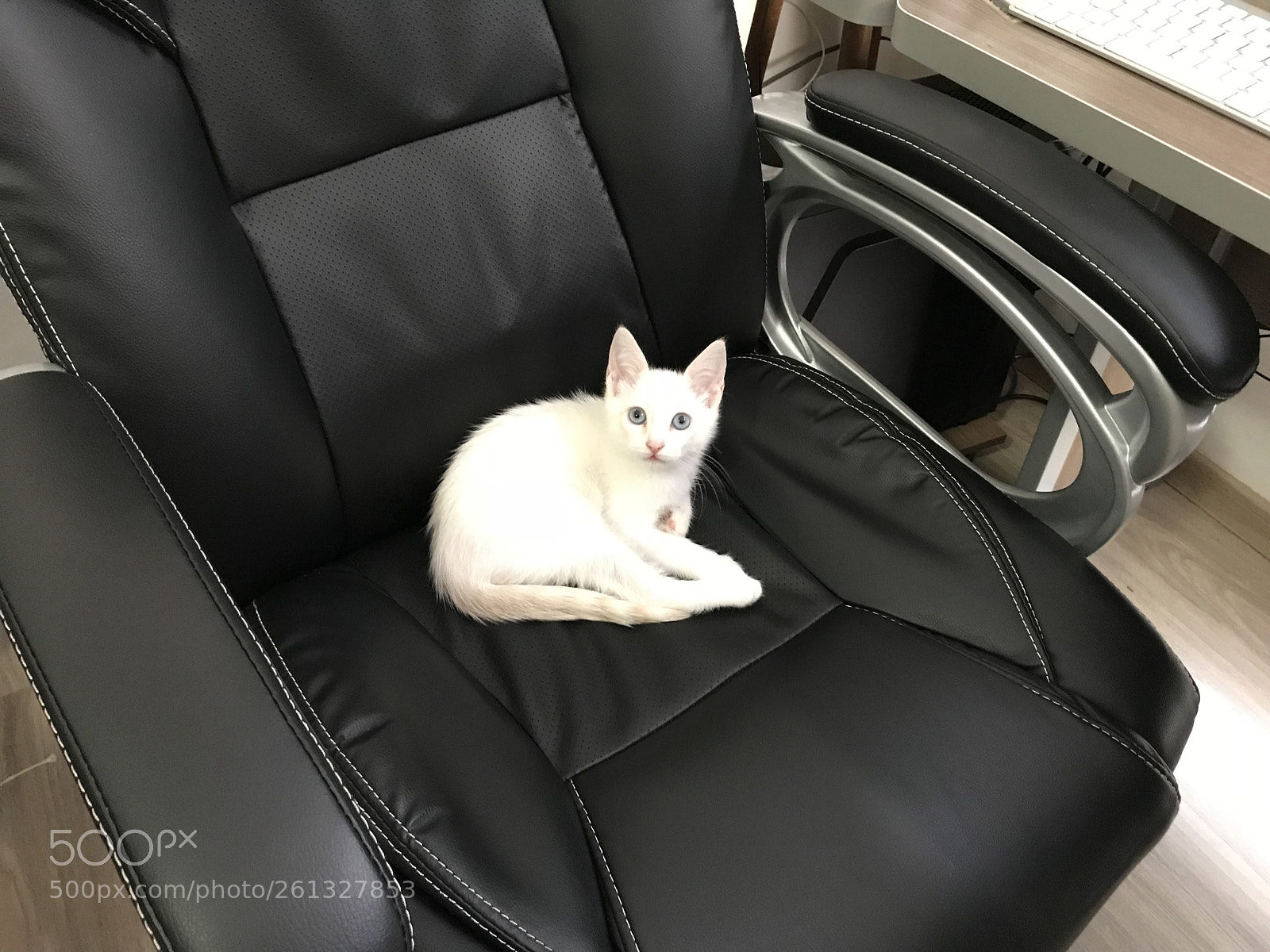 Apple iPhone 7 sample photo. Hello human. i m photography