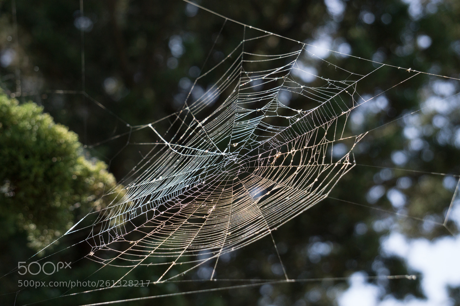 Sony a6000 sample photo. A well used web photography