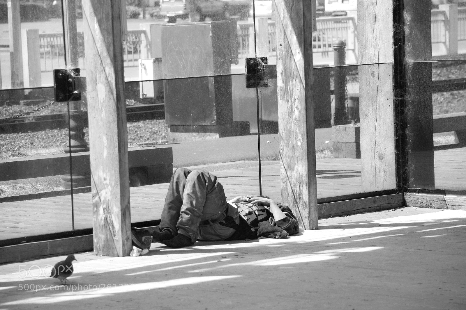 Nikon D3300 sample photo. Napping photography