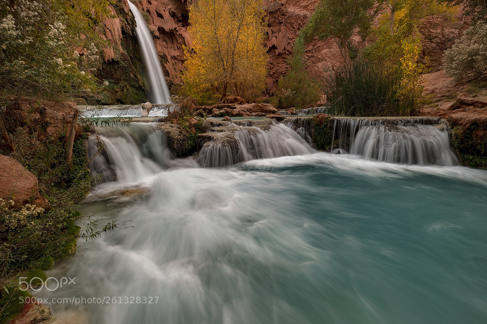 Canon EOS 5D Mark IV sample photo. Fall rush photography