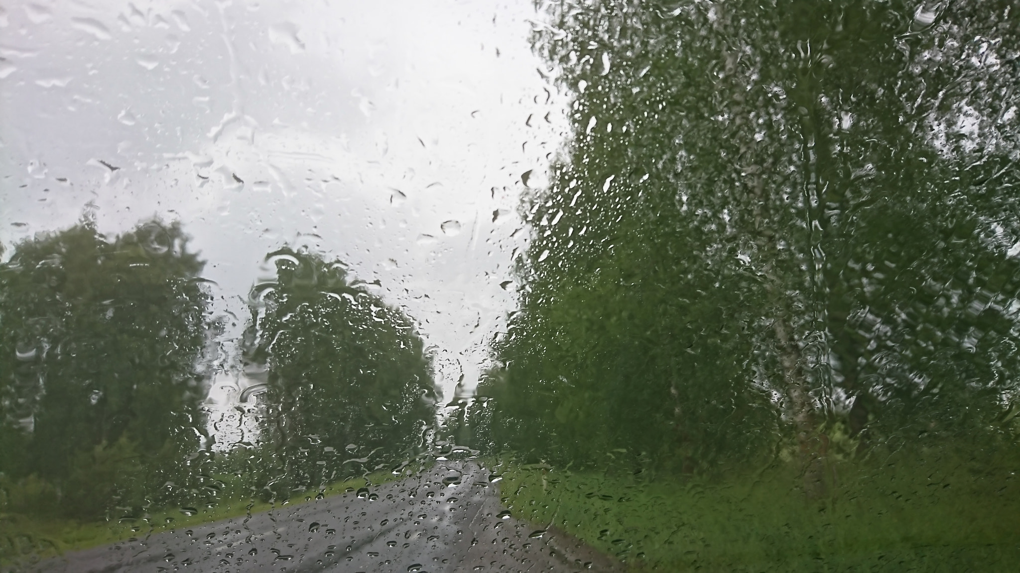 Sony Xperia XZ sample photo. Rain photography