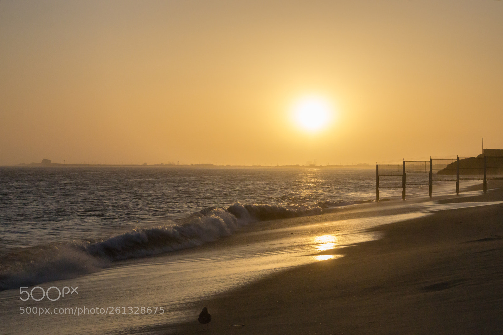 Sony a6000 sample photo. A gentle sunset photography