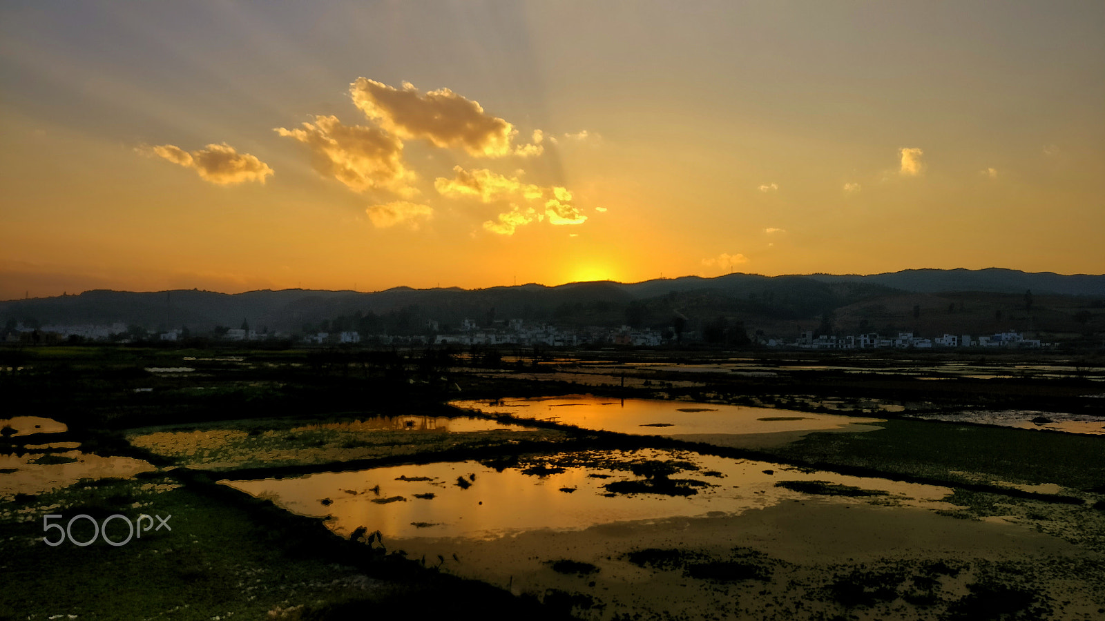 OnePlus A3000 sample photo. Sunset of rice field photography