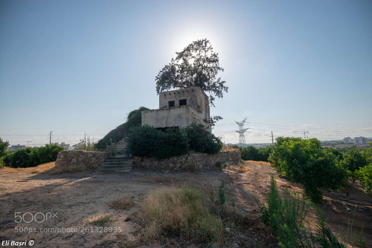 Nikon D800 sample photo. -- photography