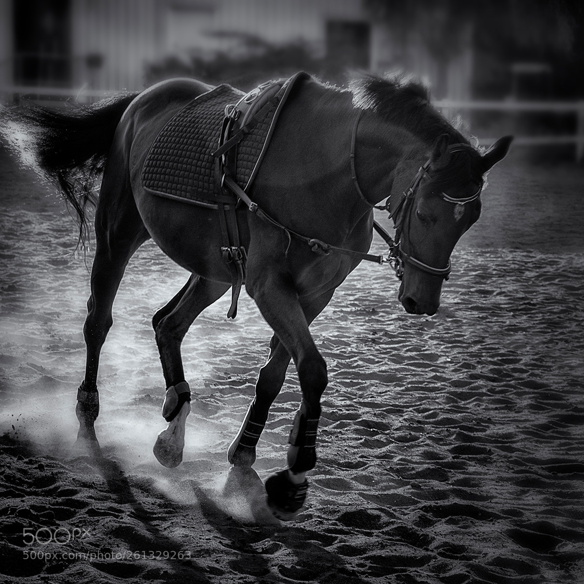 Nikon D7100 sample photo. ... photography