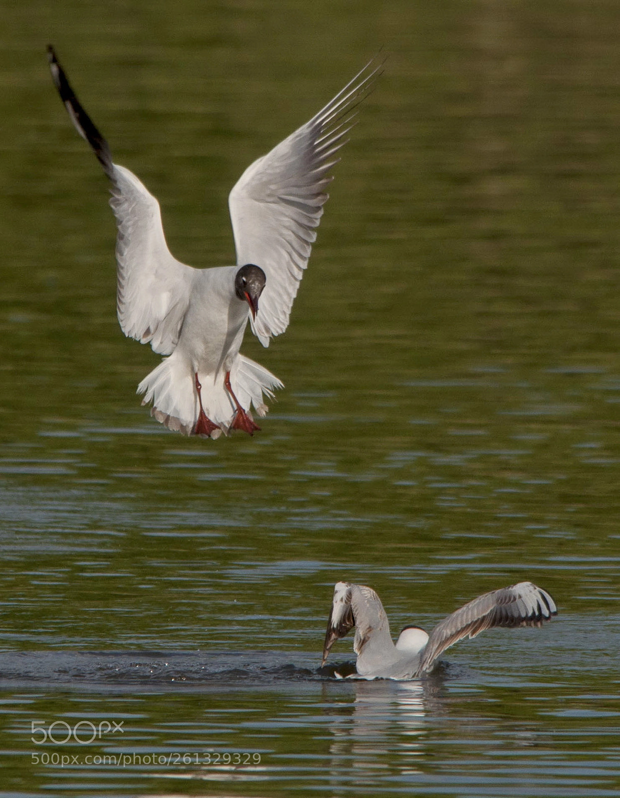 Nikon D90 sample photo. Jpg photography