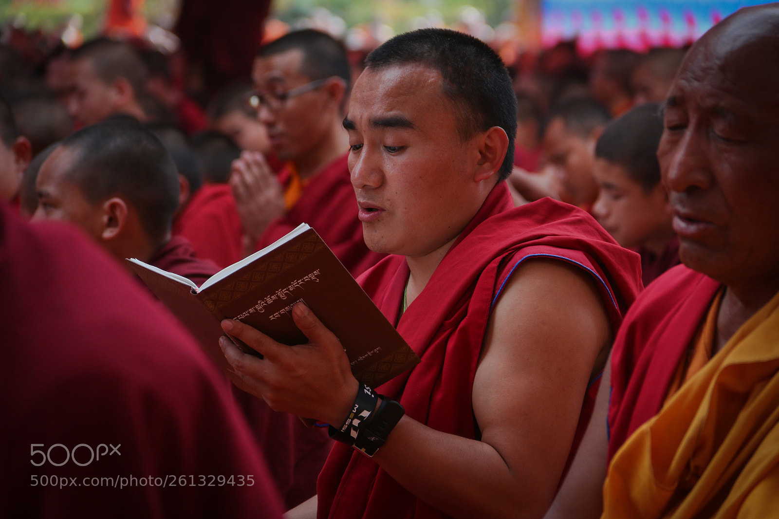 Canon EOS 70D sample photo. Buddhist monk praying photography