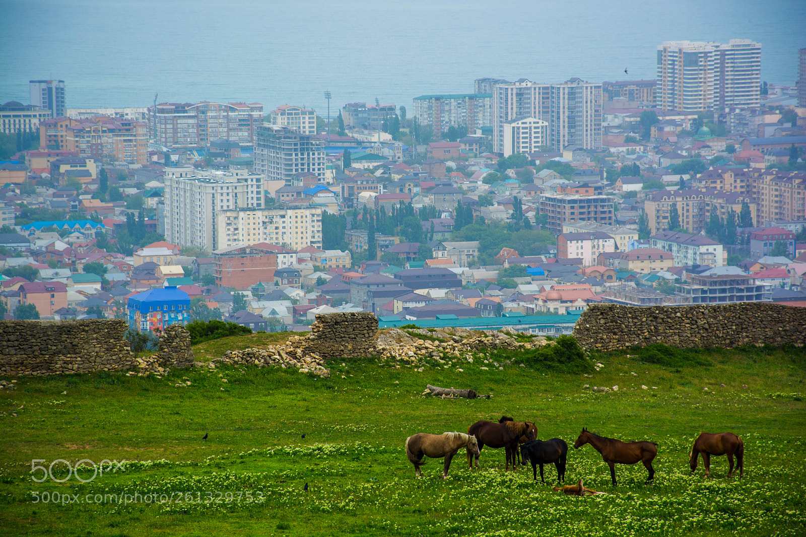 Nikon D5200 sample photo. Тарки. Махачкала photography