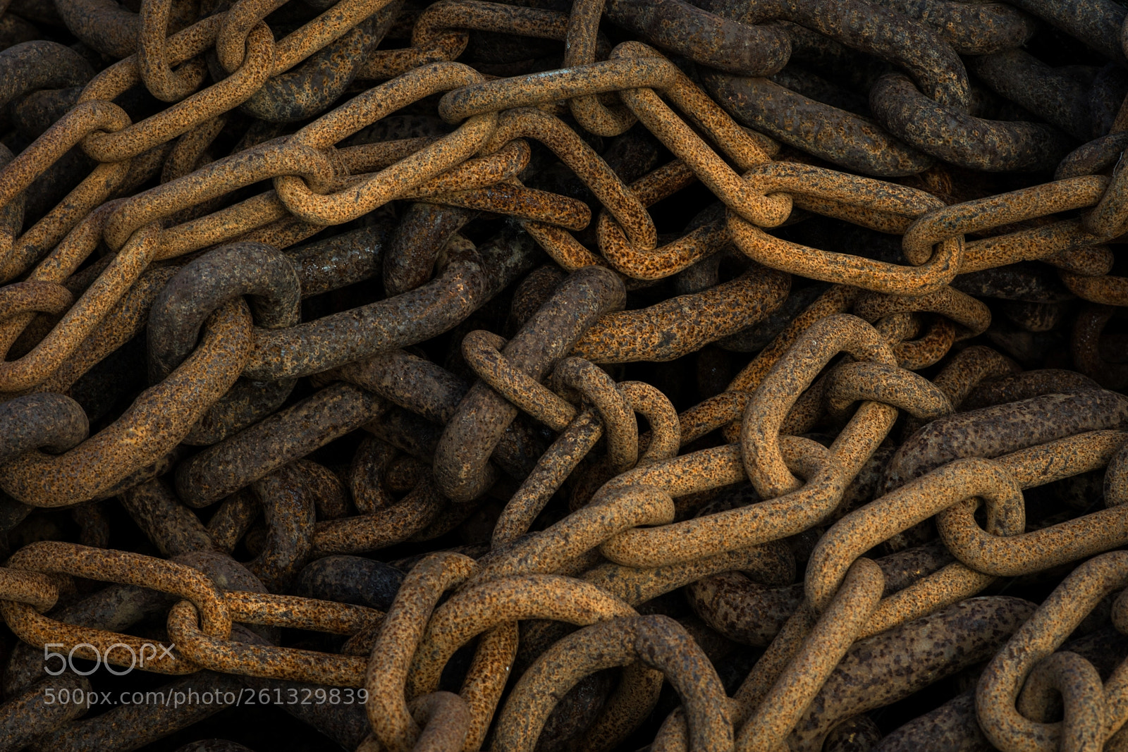 Nikon D5300 sample photo. Chained to rust photography