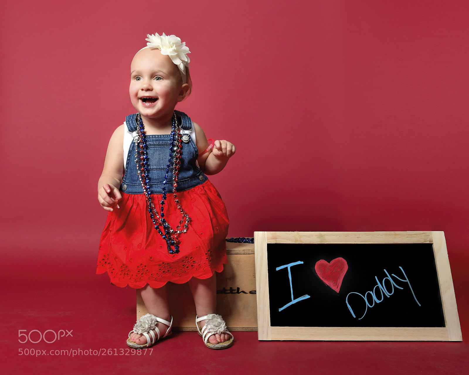 Nikon D850 sample photo. Adorable overload photography