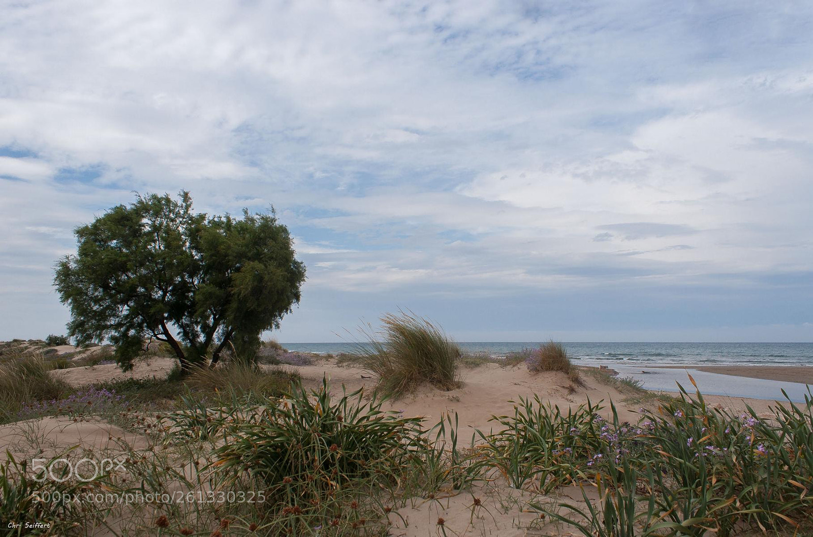 Canon EOS 20D sample photo. B e a c photography