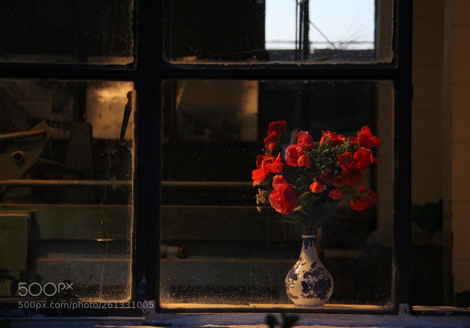 Canon EOS 700D (EOS Rebel T5i / EOS Kiss X7i) sample photo. Window flower photography