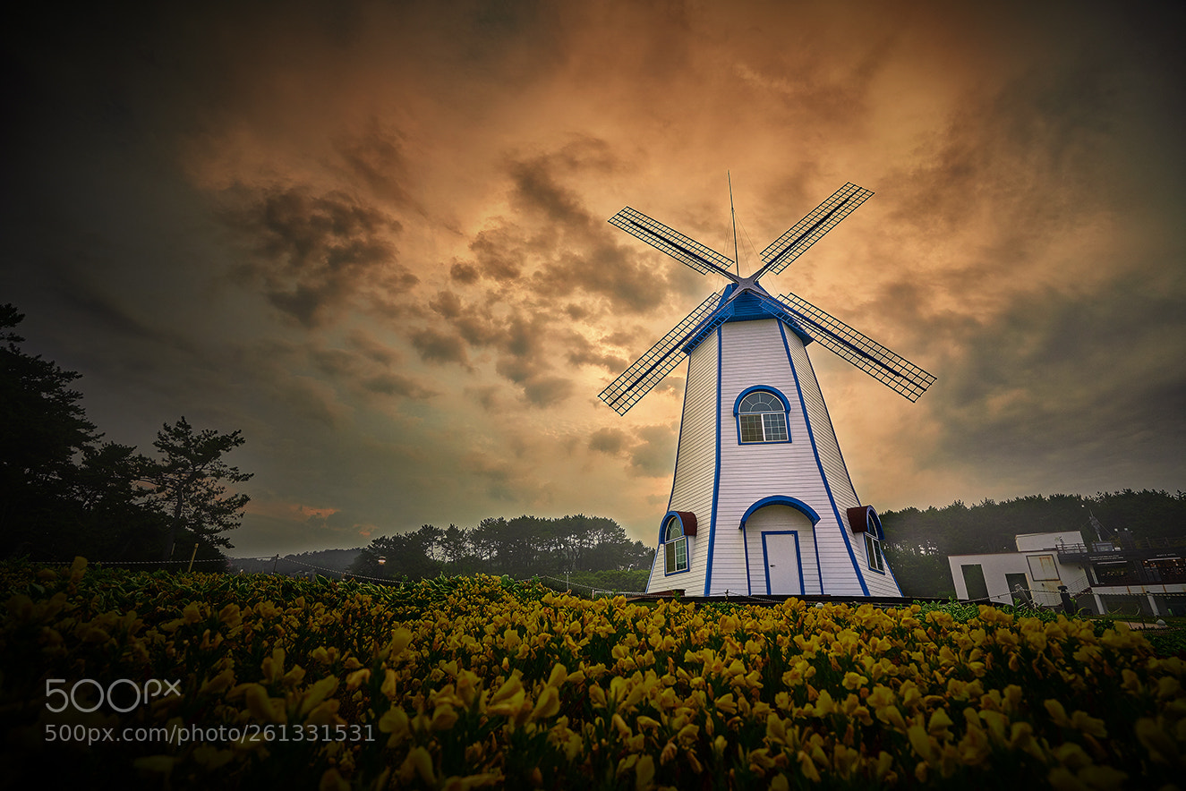 Sony a7R III sample photo. Windmill photography