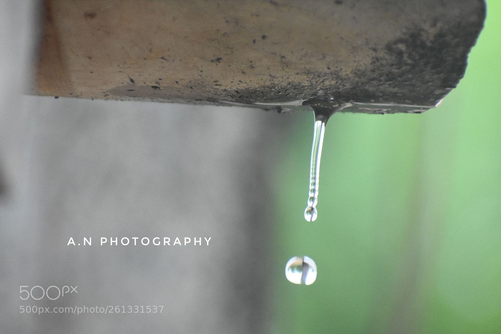 Nikon D3400 sample photo. Untitled photography