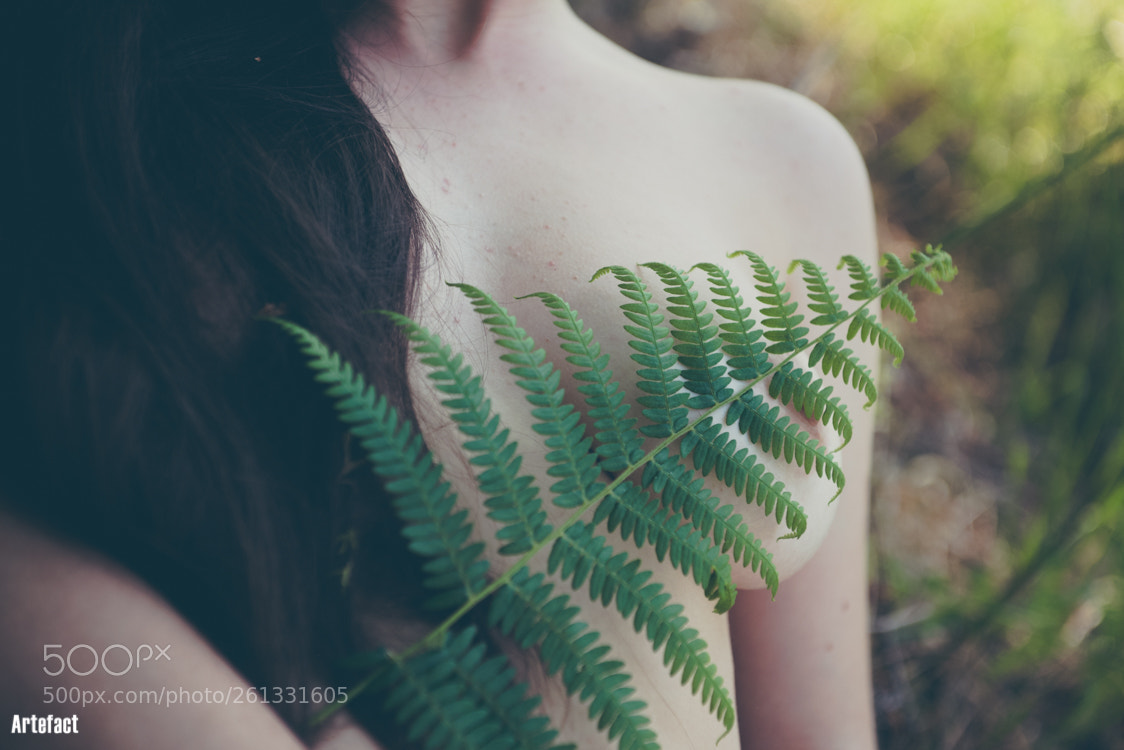Nikon D810 sample photo. Untitled photography