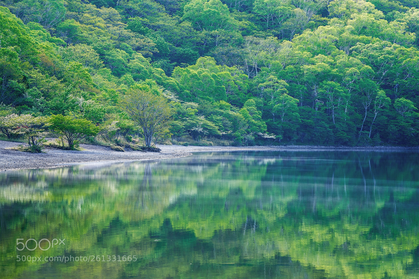 Sony a7R III sample photo. Emerging reflection photography