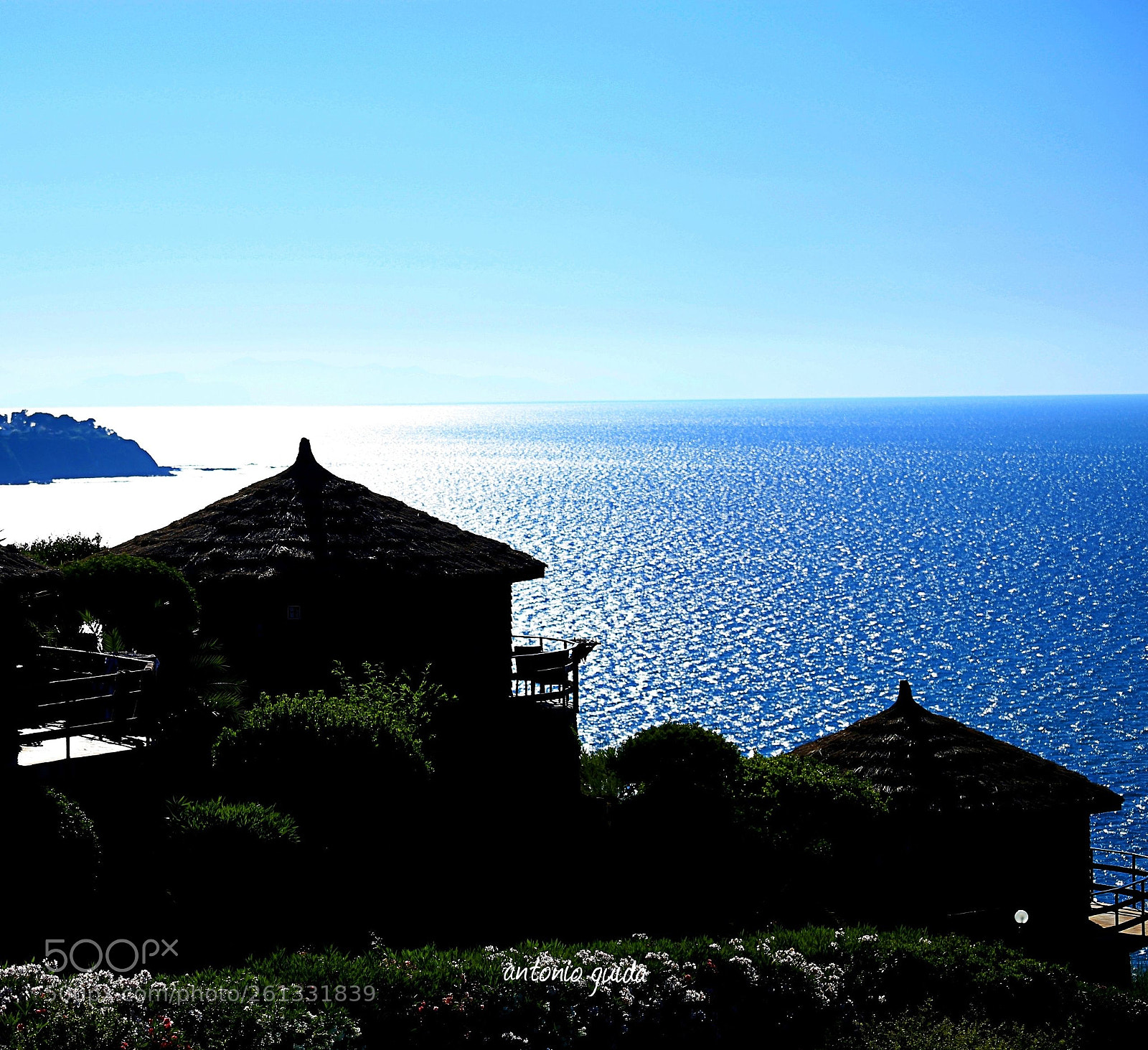 Canon EOS 6D sample photo. Untitled photography