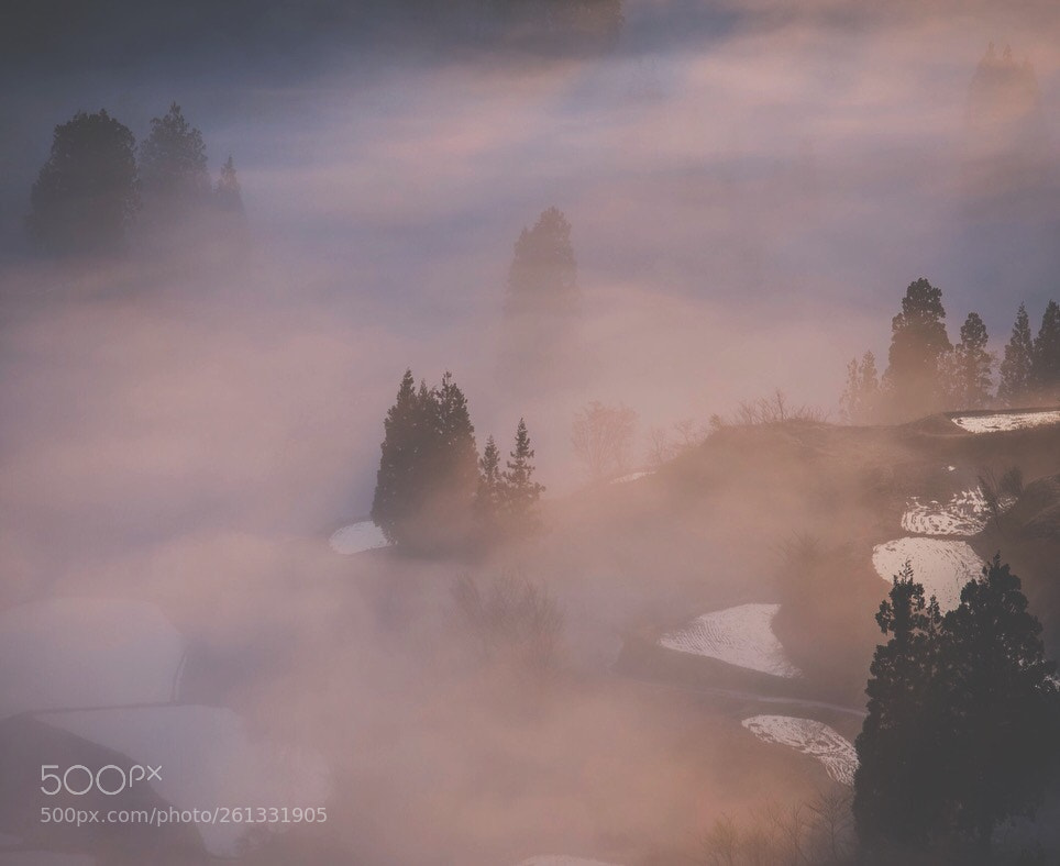 Nikon D610 sample photo. Misty ocean photography