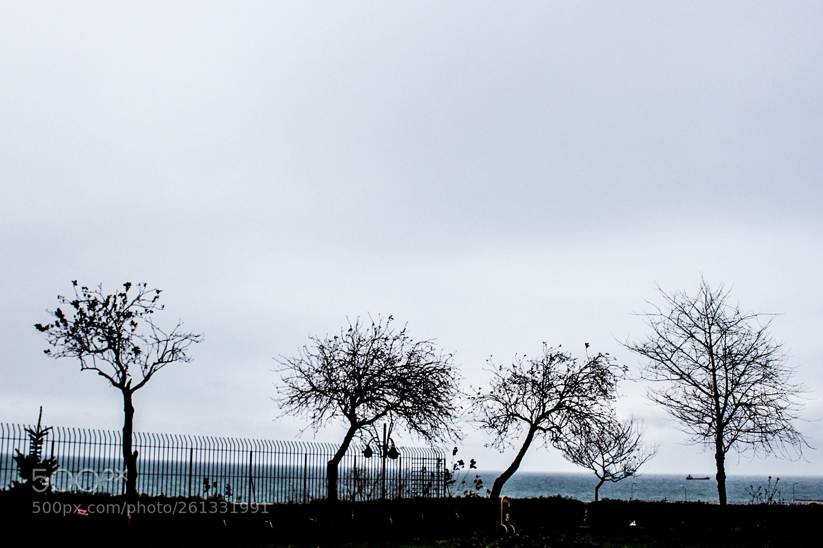 Canon EOS 600D (Rebel EOS T3i / EOS Kiss X5) sample photo. Horror photography