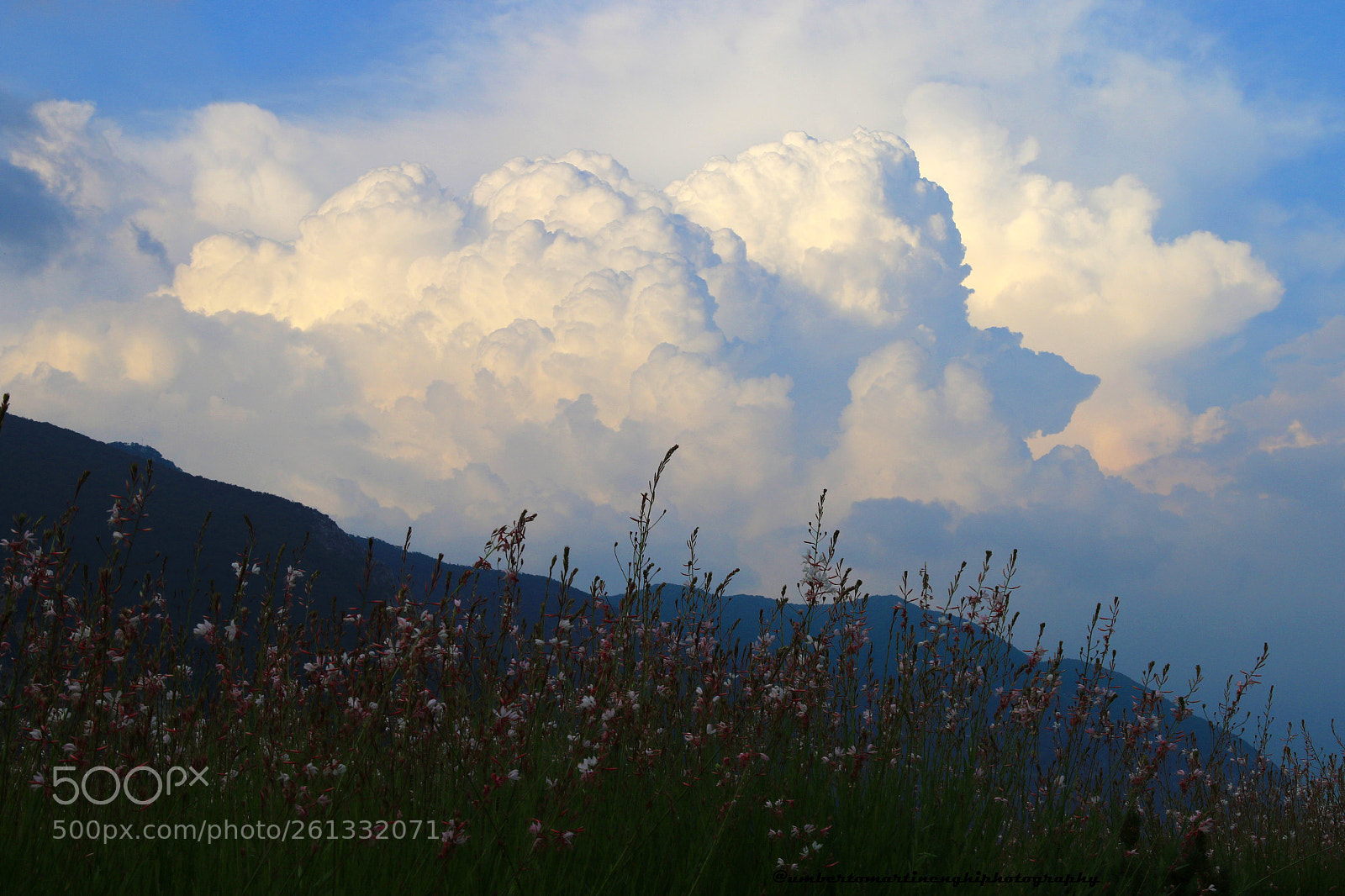 Canon EOS 7D Mark II sample photo. The power and beauty photography