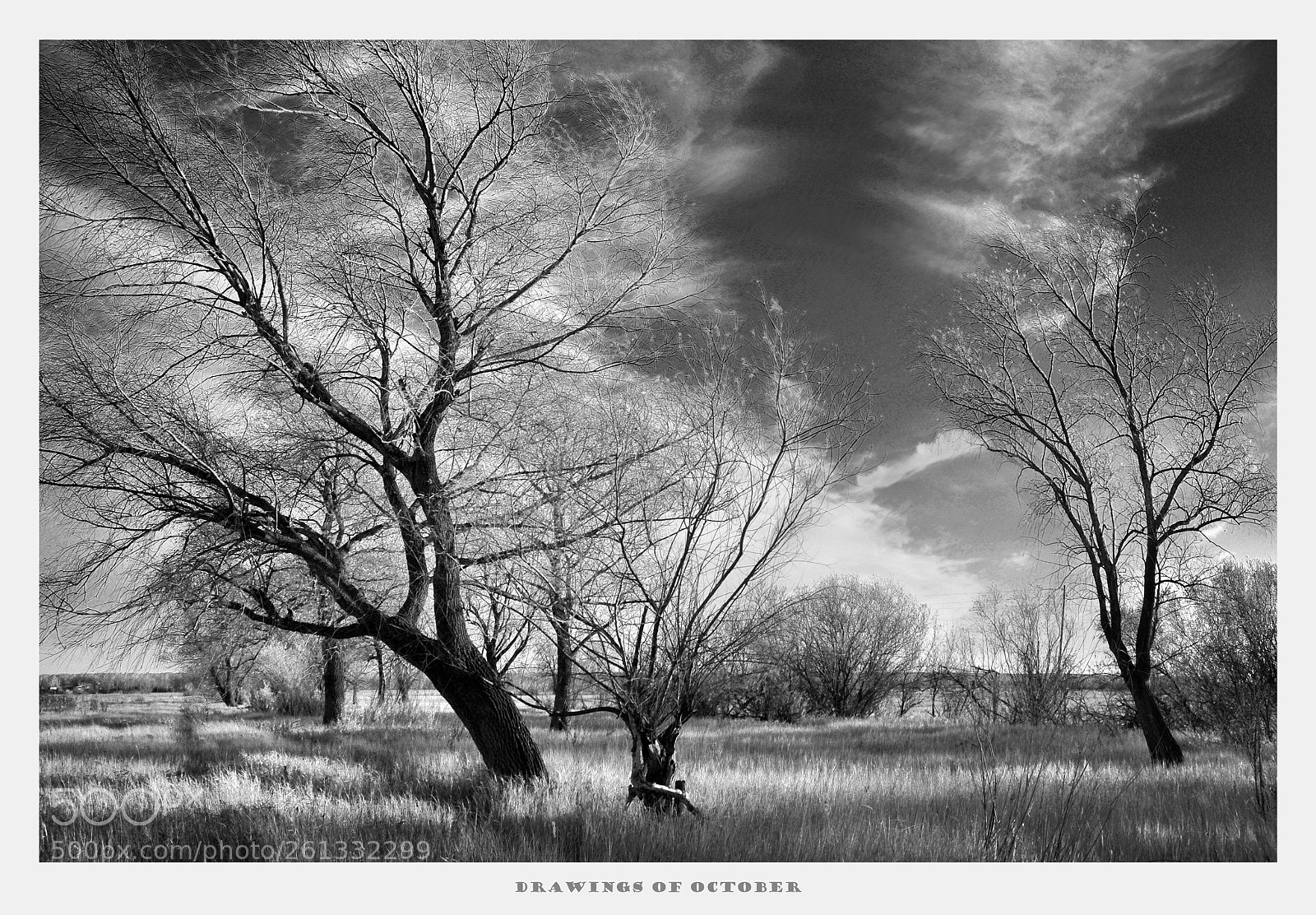 Nikon D90 sample photo. Drawings of october ii photography