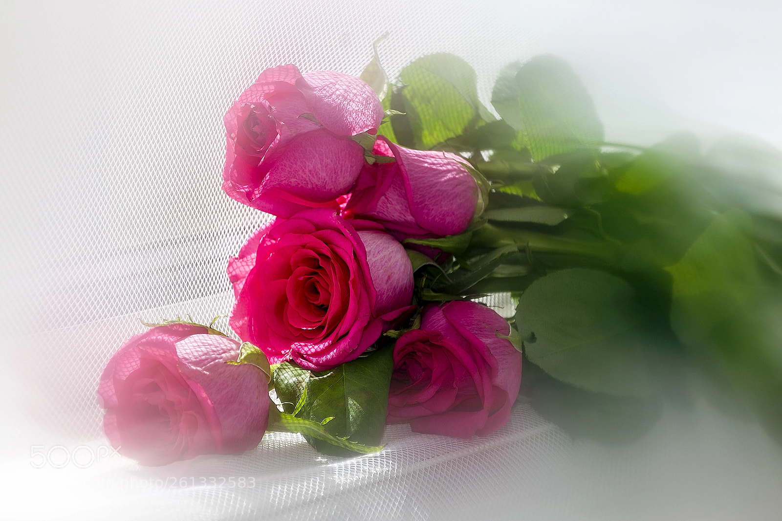 Canon EOS 6D sample photo. Dreamy roses photography