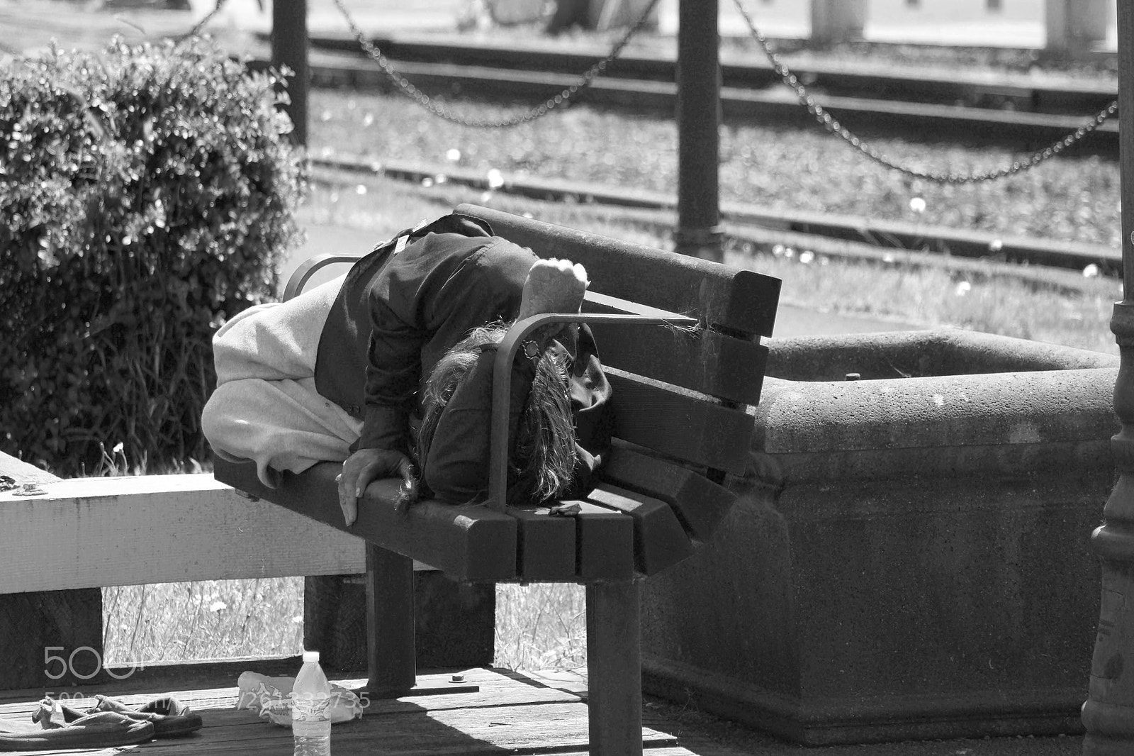 Nikon D3300 sample photo. Park bench bed photography
