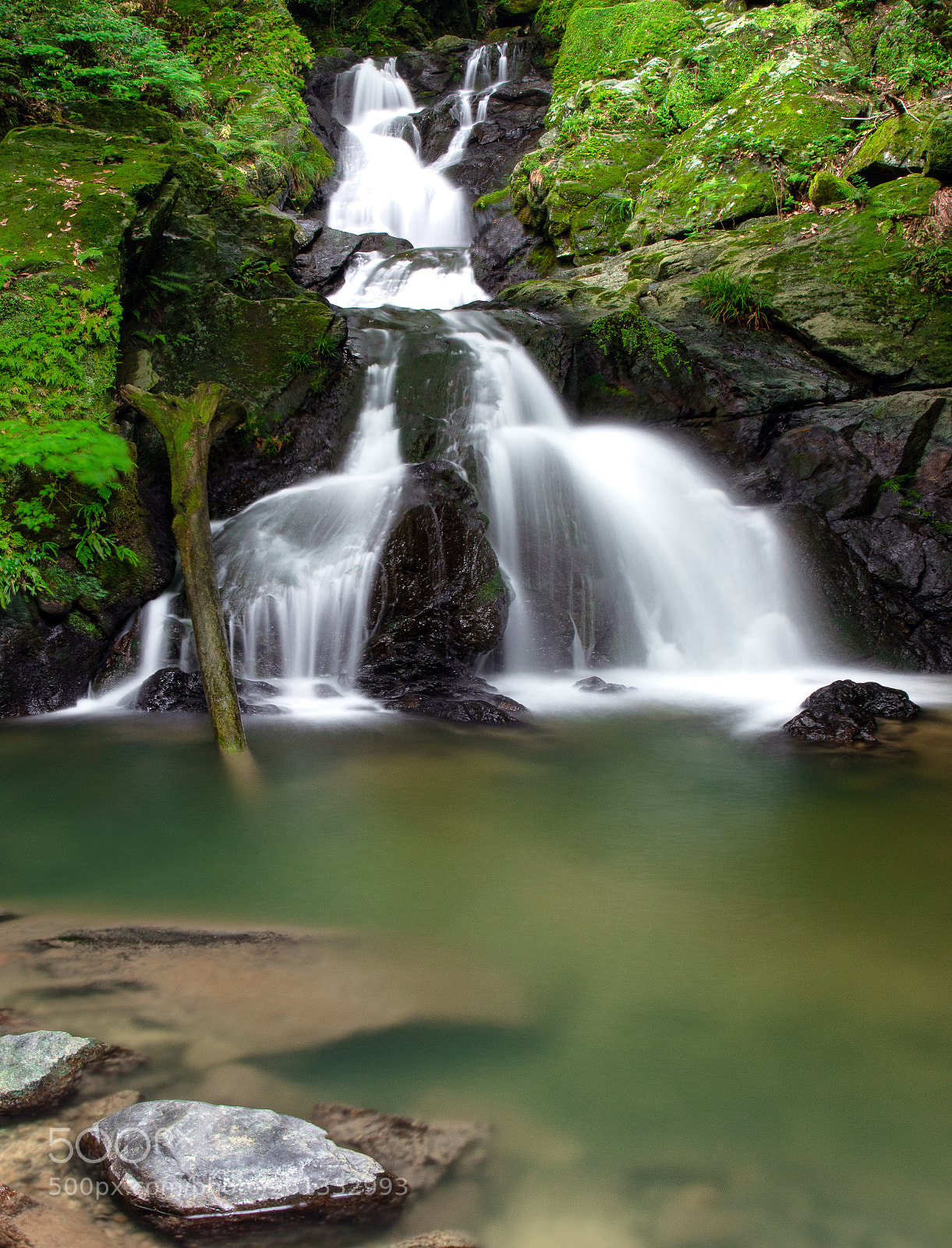Canon EOS 7D Mark II sample photo. Stream fall photography