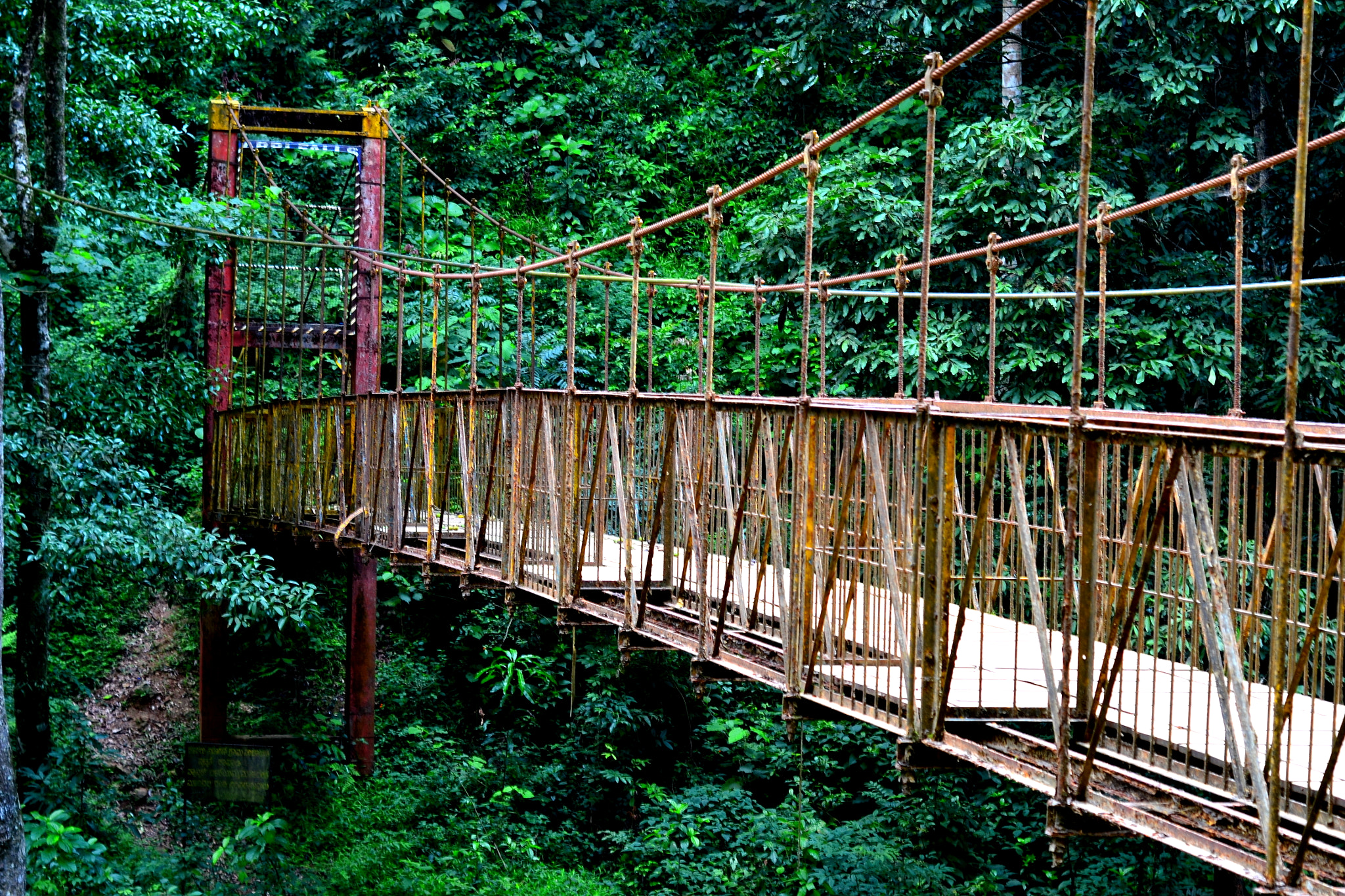 Nikon D3100 + Nikon AF Nikkor 50mm F1.8D sample photo. Abandoned old bridge photography